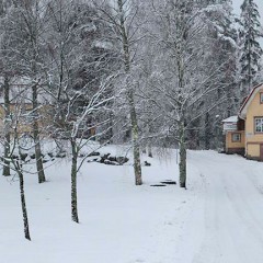 Saukkola ja Talonpoika talvella